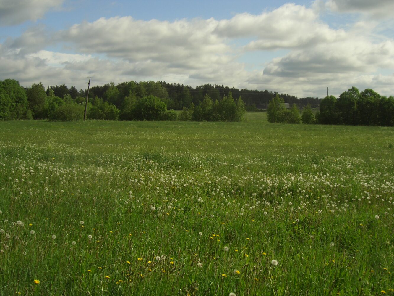 Maisema Haitermaalta