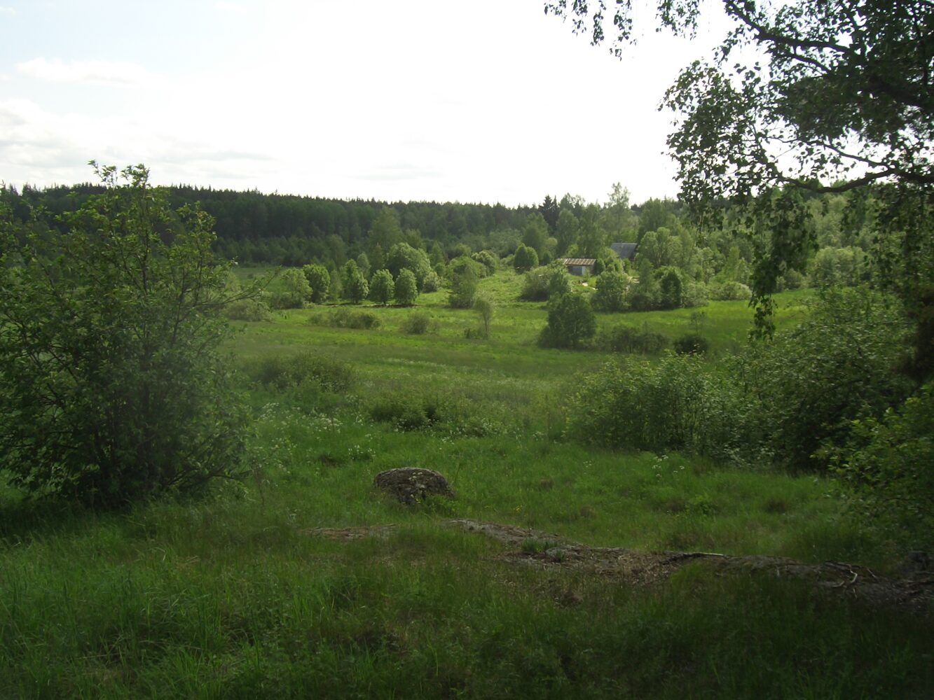 Maisema Hauhialasta