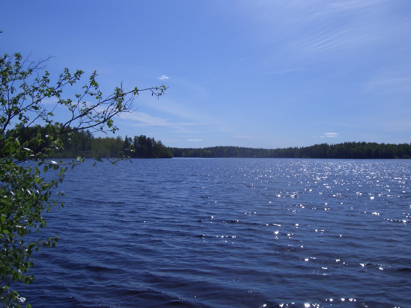 Näkymä Leinjärvelle