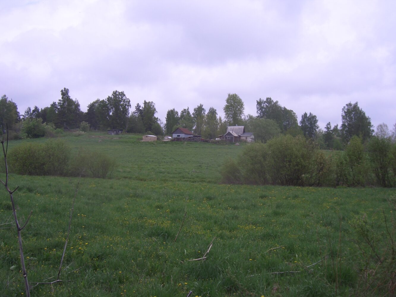 Maisema Hauhialasta