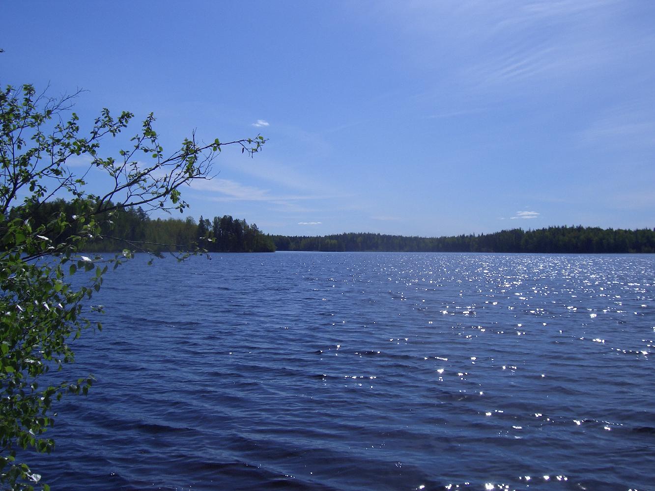 Aamunäkymä Leinjärvelle